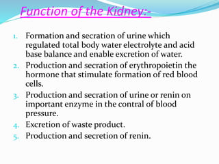 Function of the Kidney:-
1. Formation and secration of urine which
regulated total body water electrolyte and acid
base balance and enable excretion of water.
2. Production and secration of erythropoietin the
hormone that stimulate formation of red blood
cells.
3. Production and secration of urine or renin on
important enzyme in the contral of blood
pressure.
4. Excretion of waste product.
5. Production and secretion of renin.
 