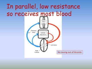 No sieving out of thrombi
In parallel, low resistance
so receives most blood
 