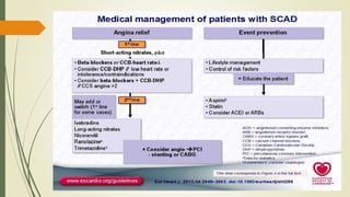 Chronic Stable Angina.pptx