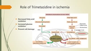 Role of Trimetazidine in ischemia
 Decreased fatty acid
oxidation
 Increased glucose
oxidation
 Prevent cell damage
Trimetazidine
 