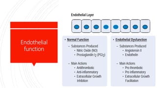 Endothelial
function
 