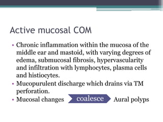 Active mucosal COM
• Chronic inflammation within the mucosa of the
middle ear and mastoid, with varying degrees of
edema, submucosal fibrosis, hypervascularity
and infiltration with lymphocytes, plasma cells
and histiocytes.
• Mucopurulent discharge which drains via TM
perforation.
• Mucosal changes Aural polyps
coalesce
 