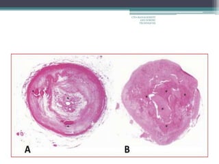 CTO-MANAGEMENT
AND WIRING
TECHNIQUES
 