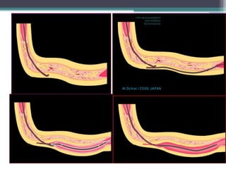 CTO-MANAGEMENT
AND WIRING
TECHNIQUES
 