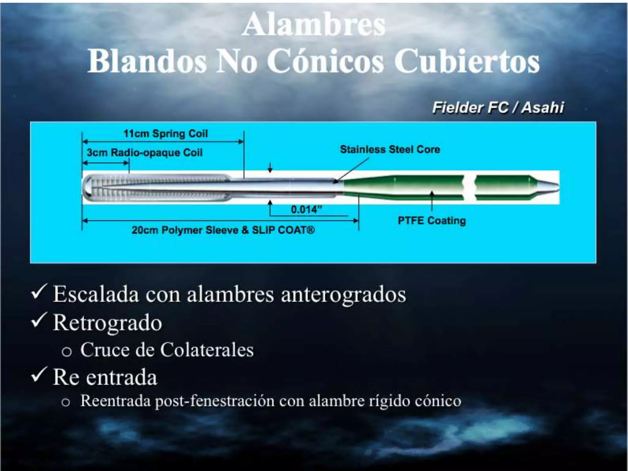 INTERVENTIONAL TECHNIQUES IN CHRONIC TOTAL OCCLUSIONS