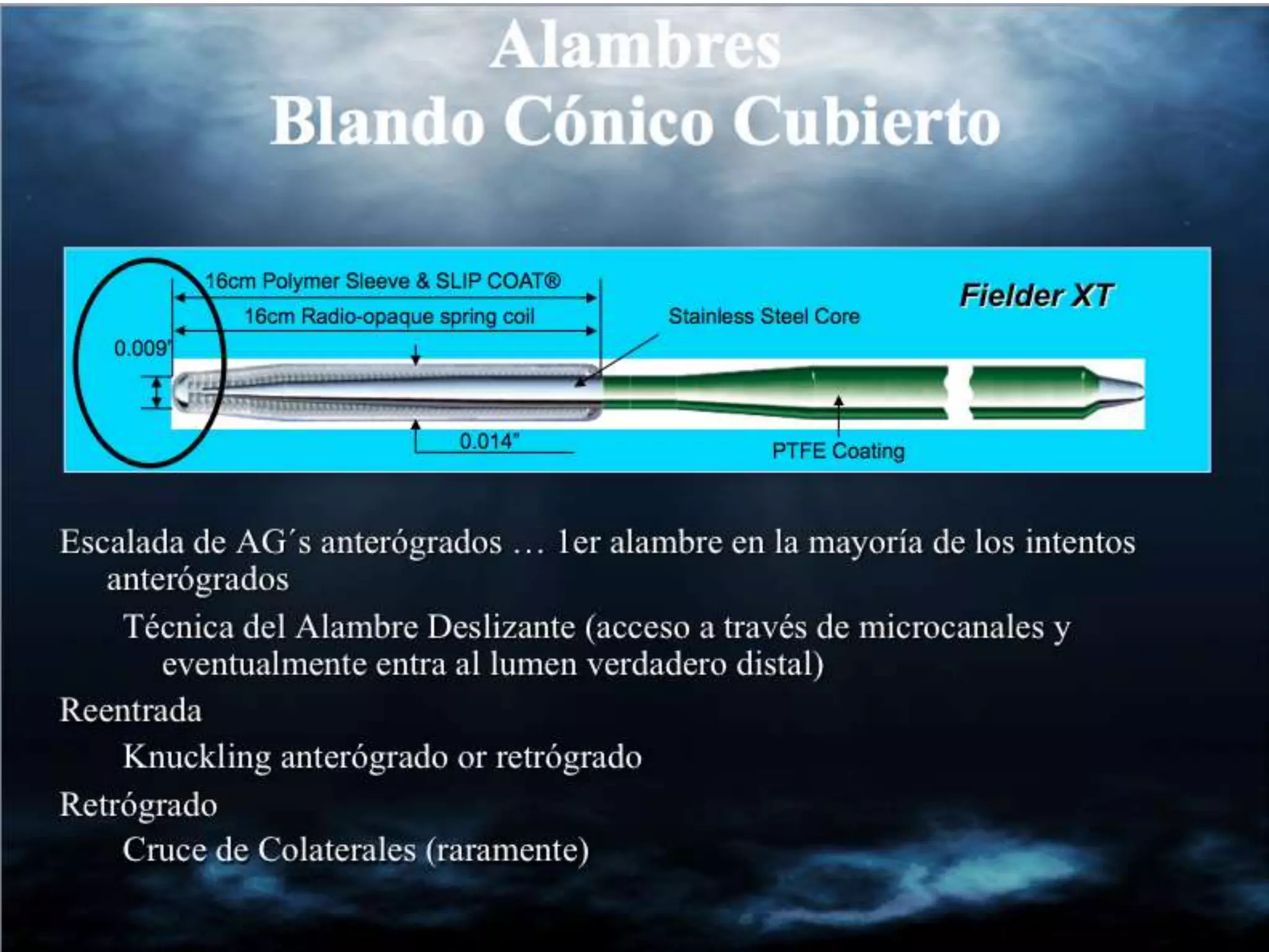 INTERVENTIONAL TECHNIQUES IN CHRONIC TOTAL OCCLUSIONS