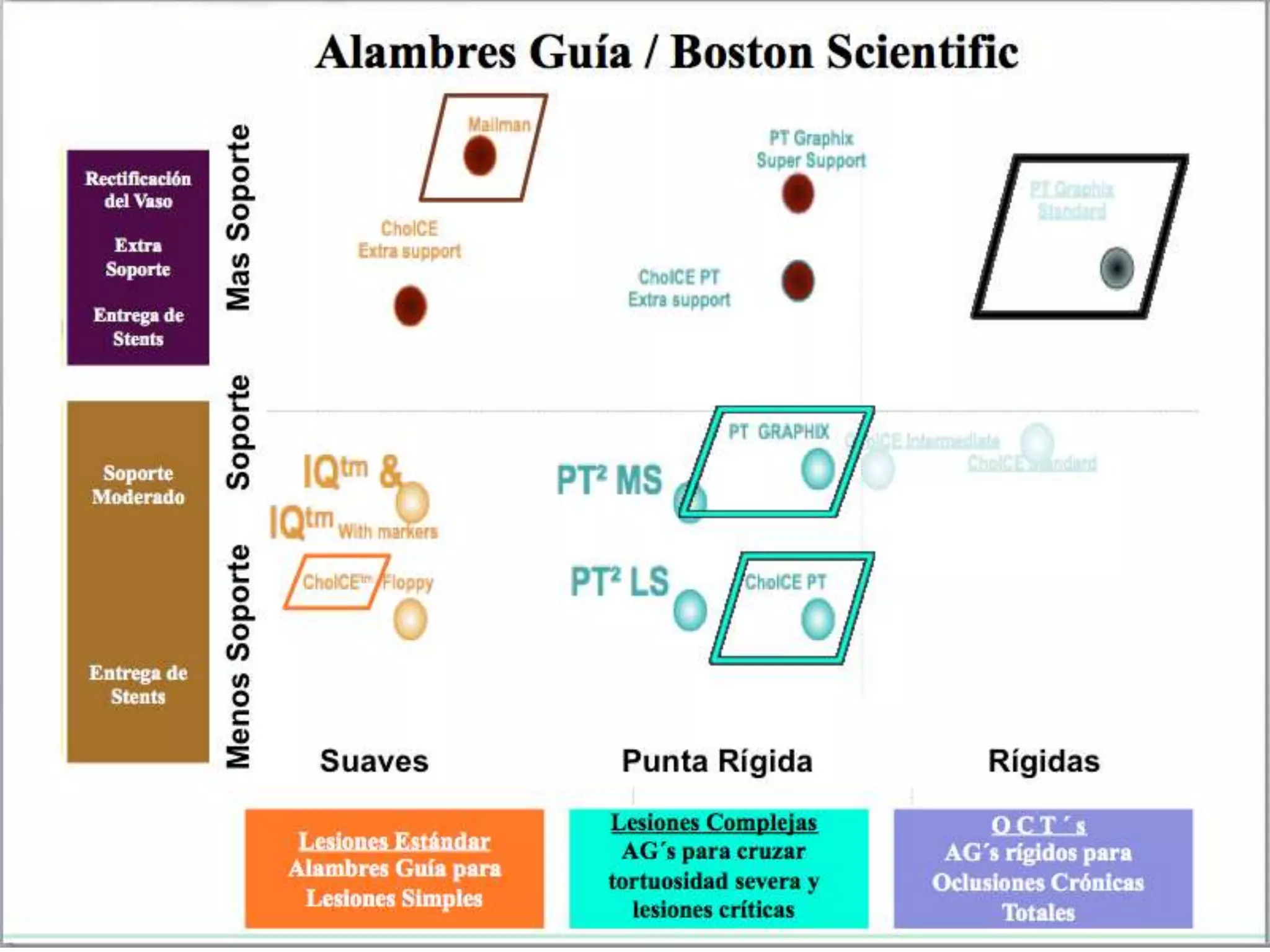 INTERVENTIONAL TECHNIQUES IN CHRONIC TOTAL OCCLUSIONS