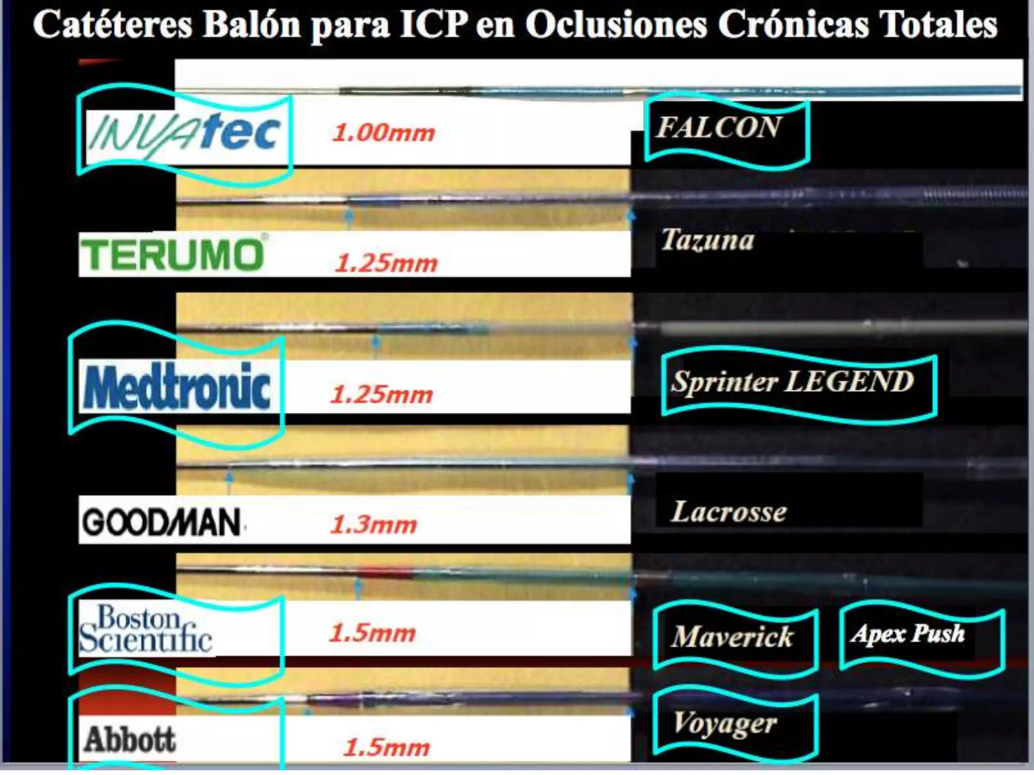 INTERVENTIONAL TECHNIQUES IN CHRONIC TOTAL OCCLUSIONS