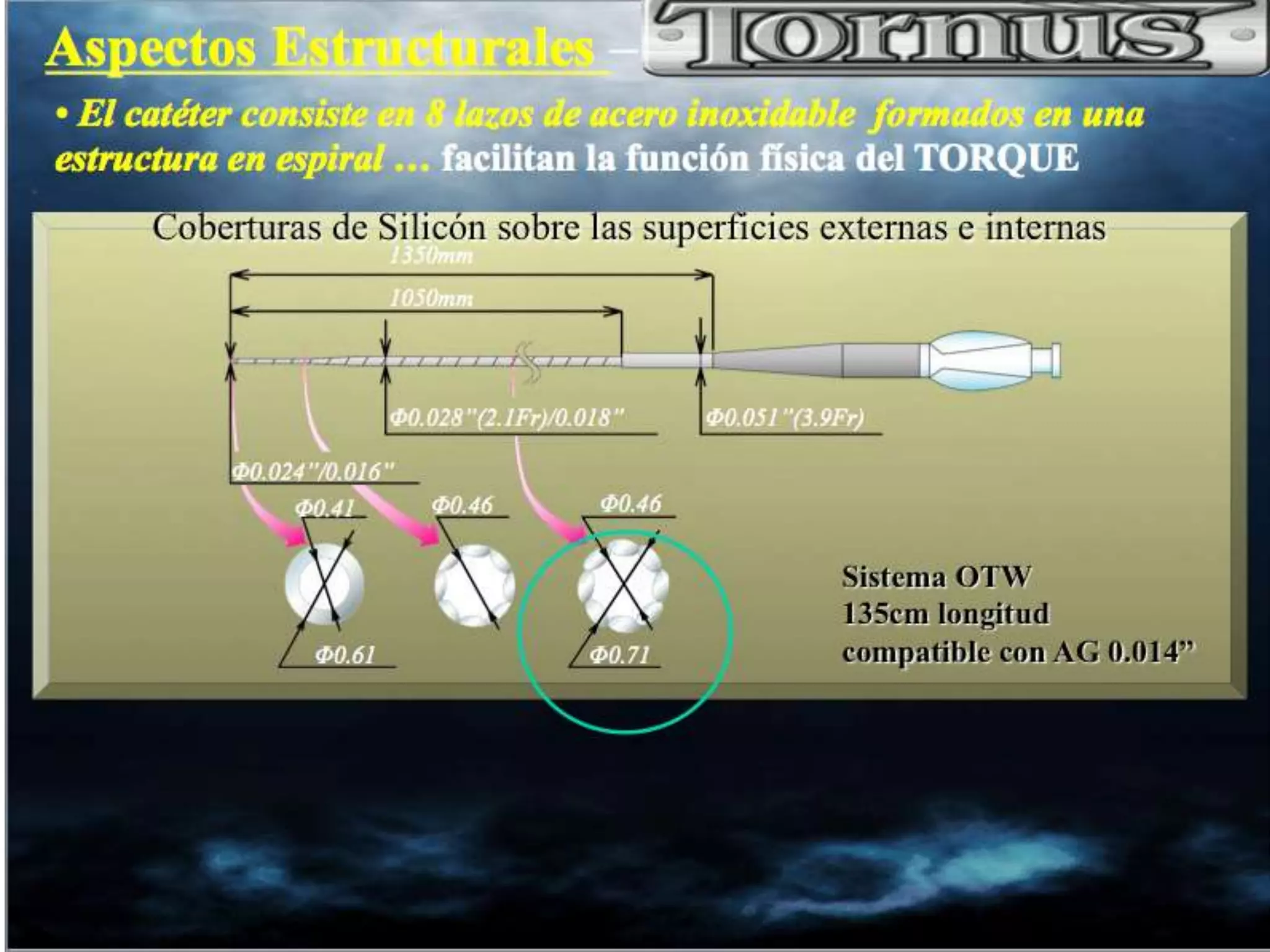 INTERVENTIONAL TECHNIQUES IN CHRONIC TOTAL OCCLUSIONS