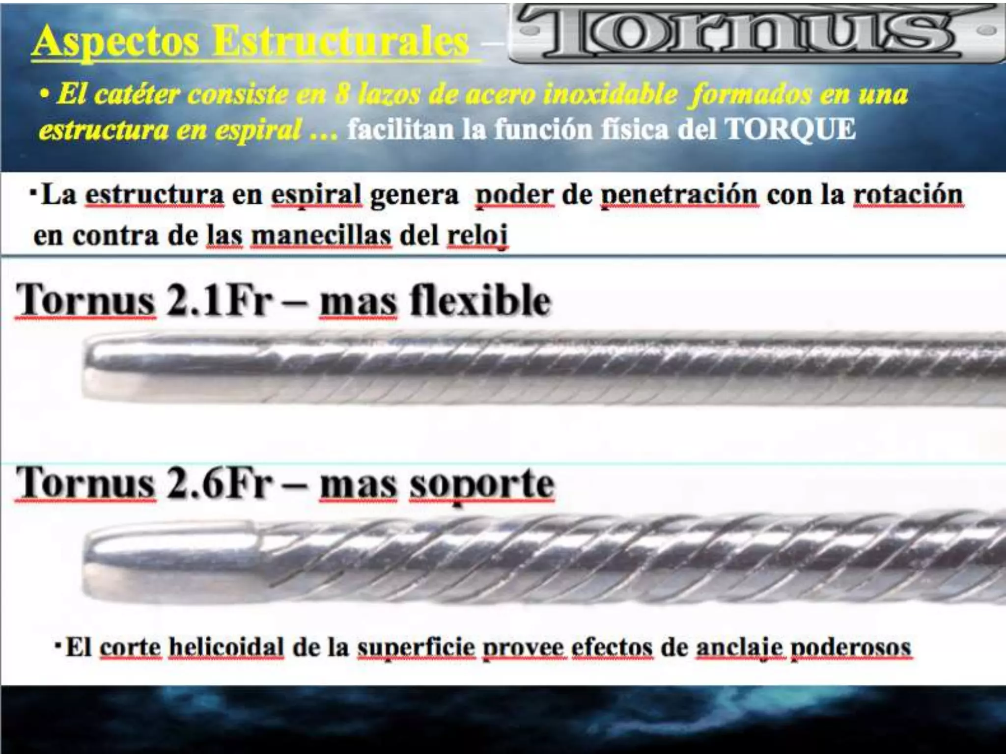 INTERVENTIONAL TECHNIQUES IN CHRONIC TOTAL OCCLUSIONS