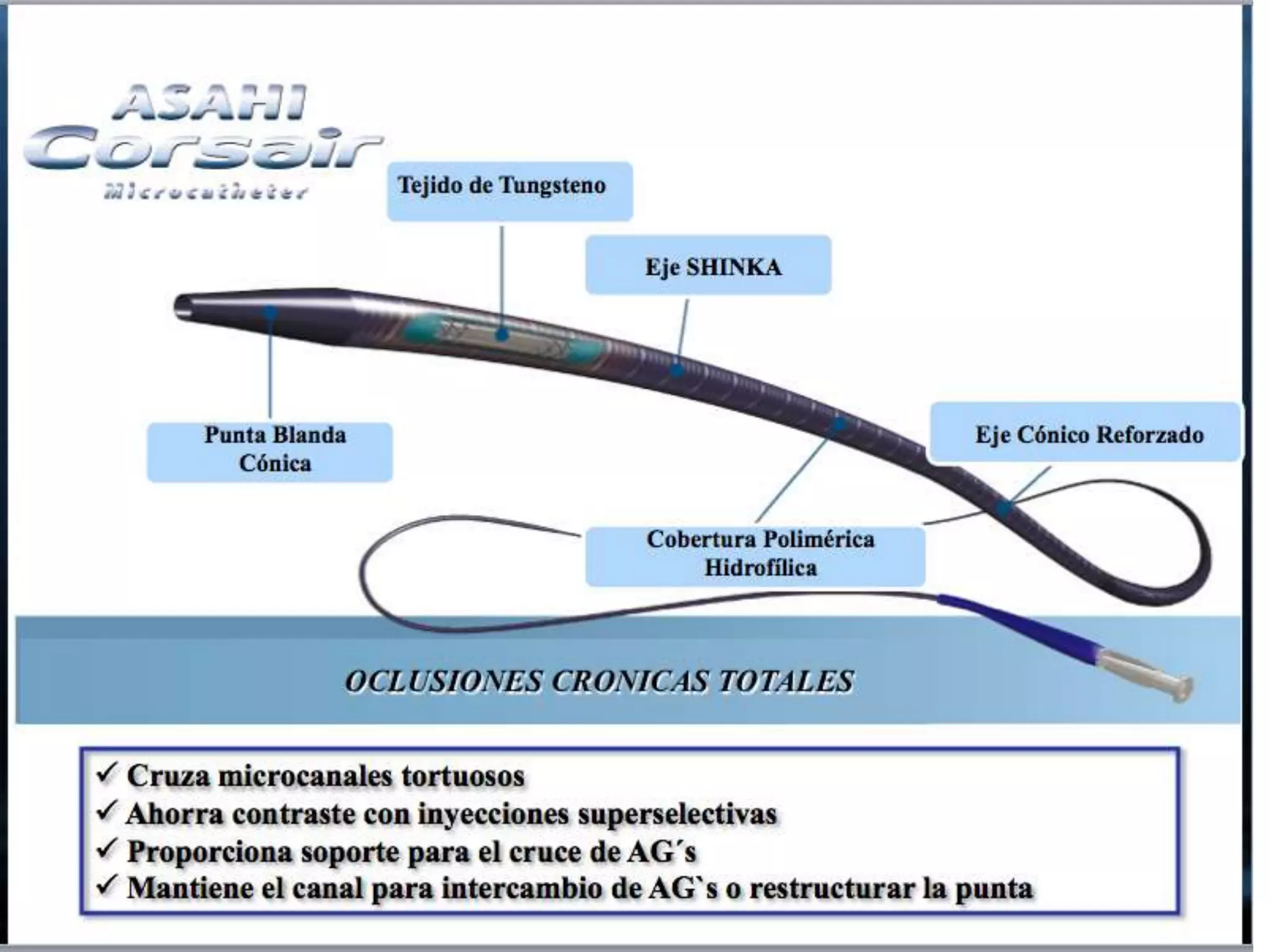 INTERVENTIONAL TECHNIQUES IN CHRONIC TOTAL OCCLUSIONS