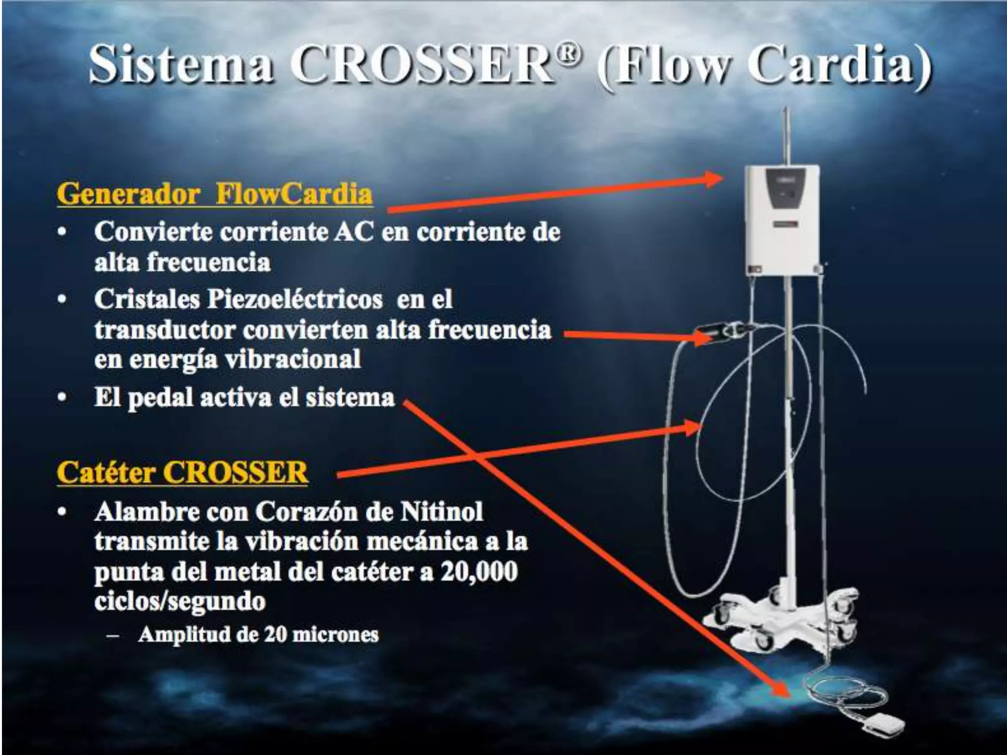 INTERVENTIONAL TECHNIQUES IN CHRONIC TOTAL OCCLUSIONS