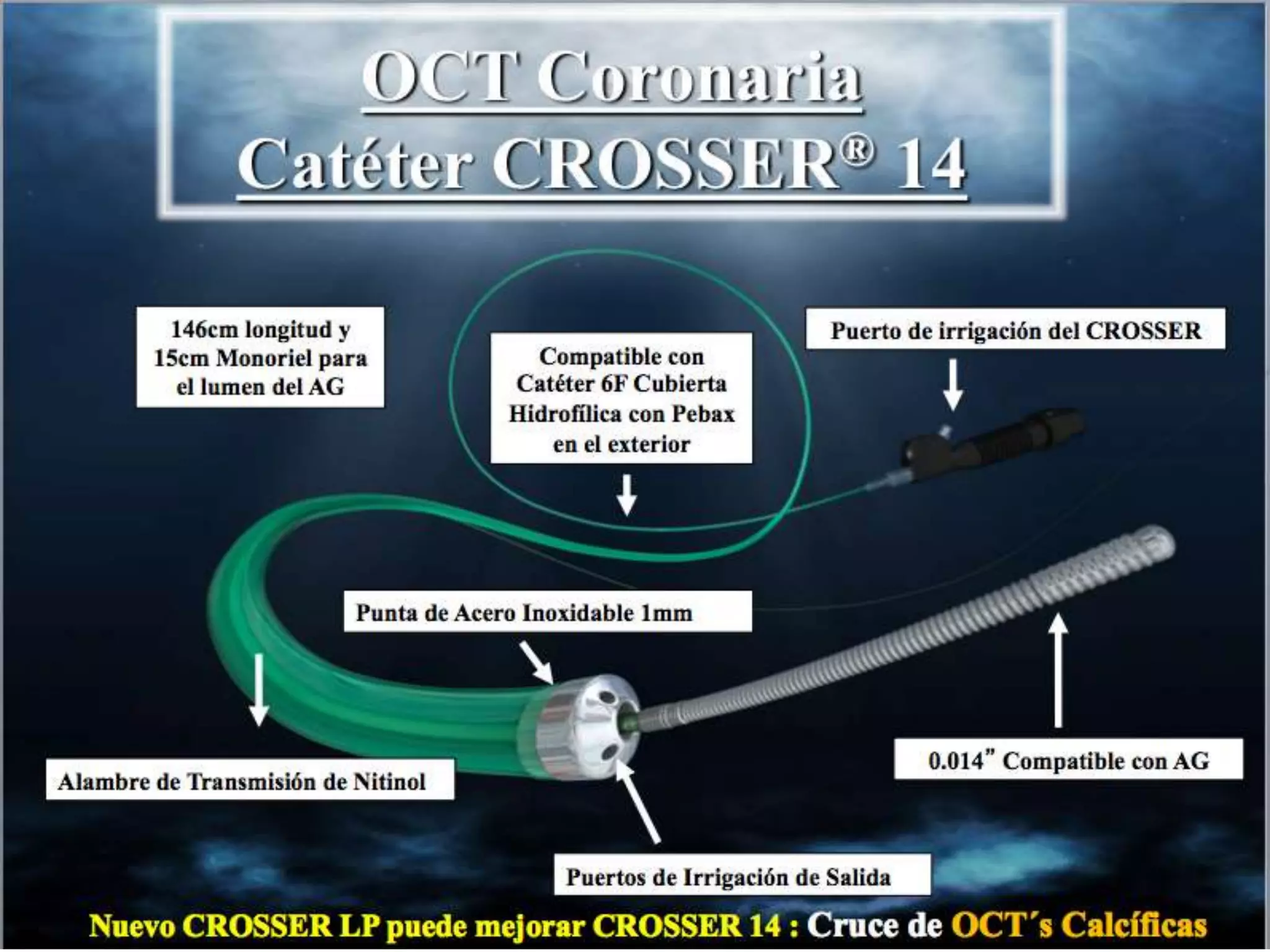 INTERVENTIONAL TECHNIQUES IN CHRONIC TOTAL OCCLUSIONS
