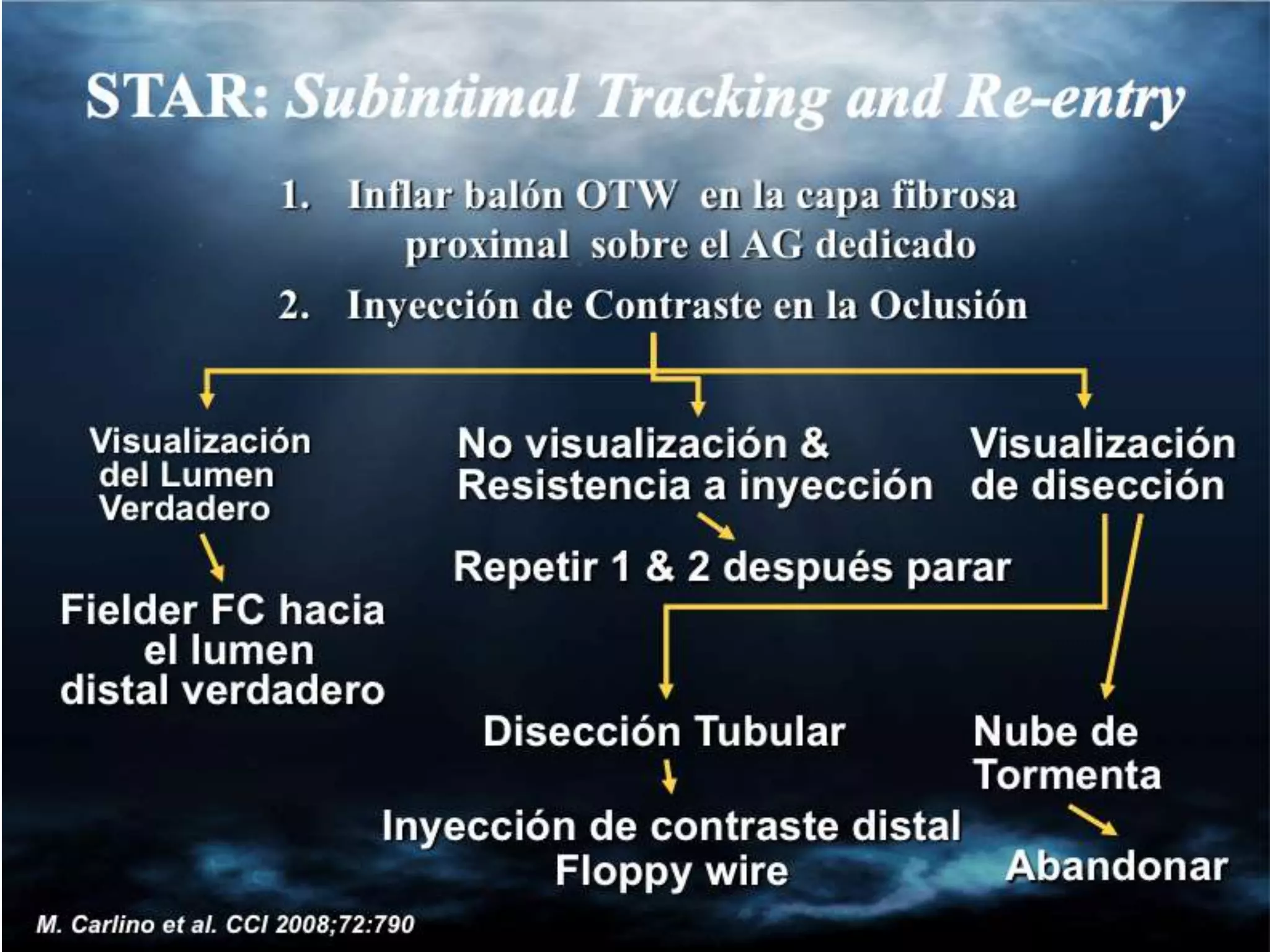 INTERVENTIONAL TECHNIQUES IN CHRONIC TOTAL OCCLUSIONS