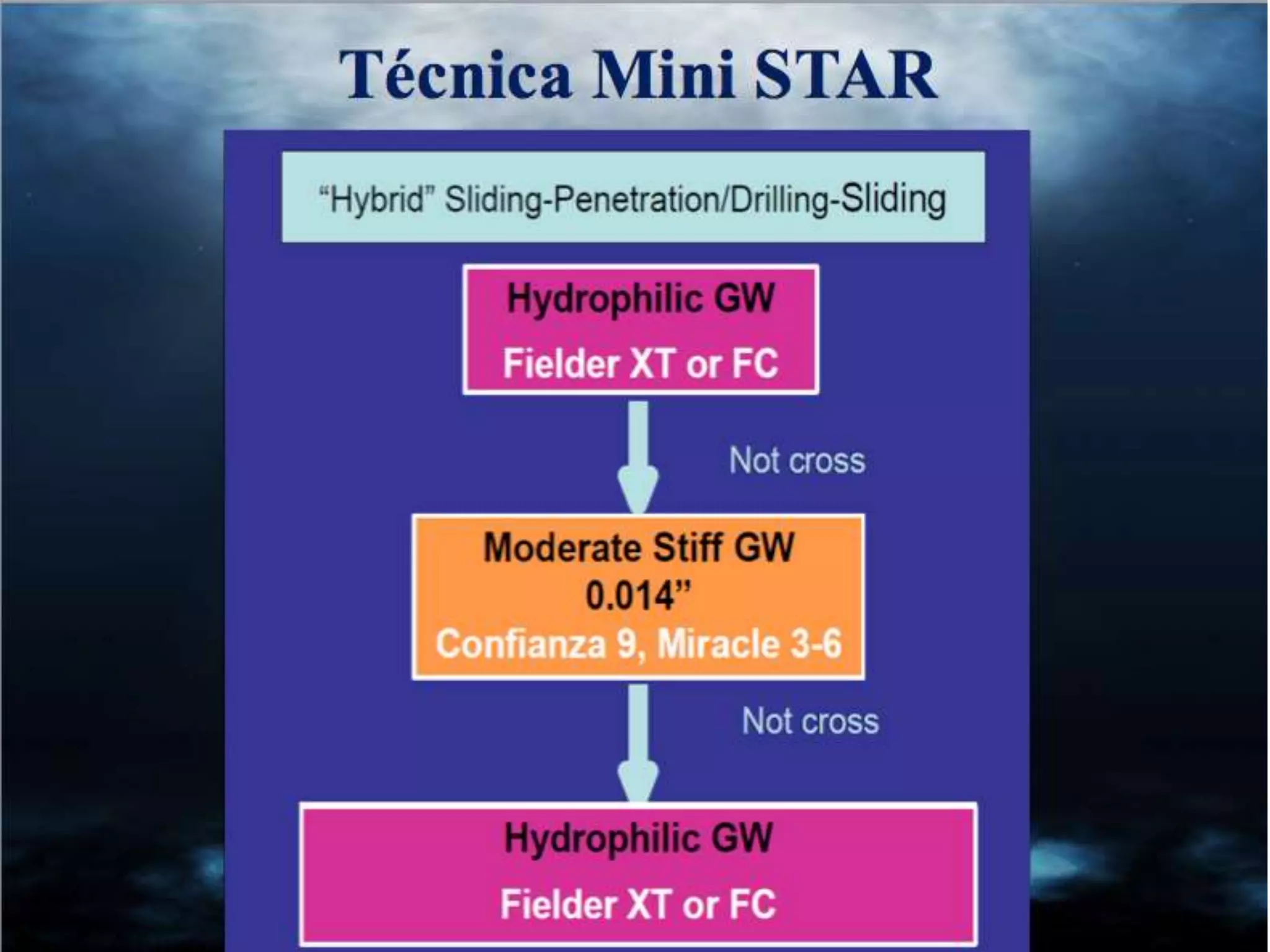 INTERVENTIONAL TECHNIQUES IN CHRONIC TOTAL OCCLUSIONS
