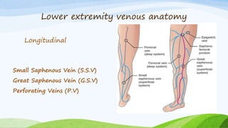 Lower extremity venous anatomy
Longitudinal
Small Saphenous Vein (S.S.V)
Great Saphenous Vein (G.S.V)
Perforating Veins (P.V)
 