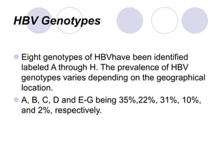 HBV Genotypes
 Eight genotypes of HBVhave been identified
labeled A through H. The prevalence of HBV
genotypes varies depending on the geographical
location.
 A, B, C, D and E-G being 35%,22%, 31%, 10%,
and 2%, respectively.
 