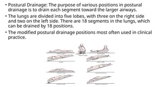 • Postural Drainage: The purpose of various positions in postural
drainage is to drain each segment toward the larger airways.
• The lungs are divided into five lobes, with three on the right side
and two on the left side. There are 18 segments in the lungs, which
can be drained by 18 positions.
• The modified postural drainage positions most often used in clinical
practice.
 