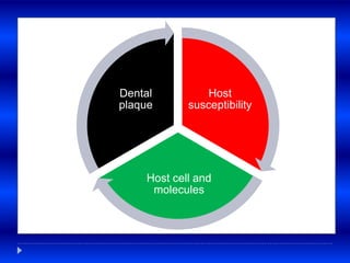 Host
susceptibility
Host cell and
molecules
Dental
plaque
 