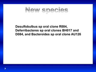 Desulfobulbus sp oral clone R004,
Deferribacteres sp oral clones BH017 and
D084, and Bacteroides sp oral clone AU126
 
