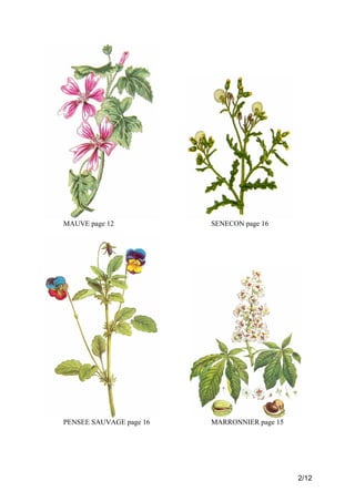 MAUVE page 12

SENECON page 16

PENSEE SAUVAGE page 16

MARRONNIER page 15

2/12

 