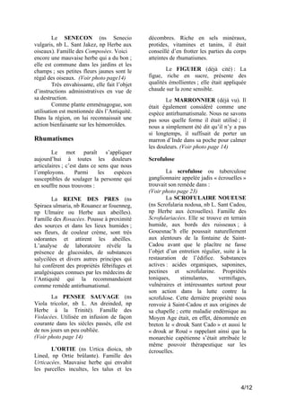 Le SENECON (ns Senecio
vulgaris, nb L. Sant Jakez, np Herbe aux
oiseaux). Famille des Composées. Voici
encore une mauvaise herbe qui a du bon ;
elle est commune dans les jardins et les
champs ; ses petites fleurs jaunes sont le
régal des oiseaux. (Voir photo page14)
Très envahissante, elle fait l’objet
d’instructions administratives en vue de
sa destruction.
Comme plante emménagogue, son
utilisation est mentionnée dès l’Antiquité.
Dans la région, on lui reconnaissait une
action bienfaisante sur les hémorroïdes.

Rhumatismes
Le
mot
paraît
s’appliquer
aujourd’hui à toutes les douleurs
articulaires ; c’est dans ce sens que nous
l’employons.
Parmi
les
espèces
susceptibles de soulager la personne qui
en souffre nous trouvons :
La REINE DES PRES (ns
Spiraea ulmaria, nb Rouanez ar fouenneg,
np Ulmaire ou Herbe aux abeilles).
Famille des Rosacées. Pousse à proximité
des sources et dans les lieux humides ;
ses fleurs, de couleur crème, sont très
odorantes et attirent les abeilles.
L’analyse de laboratoire révèle la
présence de glucosides, de substances
salycilées et divers autres principes qui
lui confèrent des propriétés fébrifuges et
analgésiques connues par les médecins de
l’Antiquité qui la recommandaient
comme remède antirhumatismal.
La PENSEE SAUVAGE (ns
Viola tricolor, nb L. An dreinded, np
Herbe à la Trinité). Famille des
Violacées. Utilisée en infusion de façon
courante dans les siècles passés, elle est
de nos jours un peu oubliée.
(Voir photo page 14)
L’ORTIE (ns Urtica dioica, nb
Lined, np Ortie brûlante). Famille des
Urticacées. Mauvaise herbe qui envahit
les parcelles incultes, les talus et les

décombres. Riche en sels minéraux,
protides, vitamines et tanins, il était
conseillé d’en frotter les parties du corps
atteintes de rhumatismes.
Le FIGUIER (déjà cité) : La
figue, riche en sucre, présente des
qualités émollientes ; elle était appliquée
chaude sur la zone sensible.
Le MARRONNIER (déjà vu). Il
était également considéré comme une
espèce antirhumatismale. Nous ne savons
pas sous quelle forme il était utilisé ; il
nous a simplement été dit qu’il n’y a pas
si longtemps, il suffisait de porter un
marron d’Inde dans sa poche pour calmer
les douleurs. (Voir photo page 14)
Scrofulose
La scrofulose ou tuberculose
ganglionnaire appelée jadis « écrouelles »
trouvait son remède dans :
(Voir photo page 23)
La SCROFULAIRE NOUEUSE
(ns Scrofularia nodosa, nb L. Sant Cadou,
np Herbe aux écrouelles). Famille des
Scrofulariacées. Elle se trouve en terrain
humide, aux bords des ruisseaux ; à
Gouesnac’h elle poussait naturellement
aux alentours de la fontaine de SaintCadou avant que le placître ne fasse
l’objet d’un entretien régulier, suite à la
restauration de l’édifice. Substances
actives : acides organiques, saponines,
pectines et scrofularine. Propriétés
toniques,
stimulantes,
vermifuges,
vulnéraires et intéressantes surtout pour
son action dans la lutte contre la
scrofulose. Cette dernière propriété nous
renvoie à Saint-Cadou et aux origines de
sa chapelle ; cette maladie endémique au
Moyen Age était, en effet, dénommée en
breton le « drouk Sant Cado » et aussi le
« drouk ar Roué » rappelant ainsi que la
monarchie capétienne s’était attribuée le
même pouvoir thérapeutique sur les
écrouelles.

4/12

 