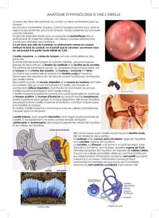 ANATOMIE ET PHYSIOLOGIE D’UNE L’OREILLE
La peau des deux tiers profonds du conduit sur deux centimètres jusqu’au
tympan.
Sur ces deux centimètres, la peau s’amincit progressivement pour, dans la
région la plus profonde, proche du tympan, ne plus présenter qu’une seule
couche cellulaire.
Sa grande originalité réside dans sa capacité à s’autonettoyer par un
phénomène dit d’éjection latérale. Les cellules cutanées (kératocytes)
mortes sont refoulées vers l’extérieur.
Il n’est donc pas utile de contrarier ce phénomène naturel en voulant
nettoyer le fond du conduit, ce d’autant que le cérumen, souvenons-nous
en, est produit à la partie haute initiale du CAE.
L'oreille moyenne, ou caisse du tympan, est une cavité aérienne, plus
profonde.
Sa limite latérale est le tympan et sa limité médiale, une paroi osseuse
percée de deux orifices, la fenêtre du vestibule et la fenêtre de la cochlée.
Ce système de transmission sonore, ou complexe tympano-ossiculaire, unit
le tympan et la chaîne des osselets : le marteau, l’enclume et l’étrier.
La chaîne des osselets relie le tympan à la fenêtre ovale et assure la
transmission des vibrations de l’air dans le conduit auditif jusqu’aux liquides
de l’oreille interne.
Deux petits muscles, le muscle stapédien et le muscle du marteau sont reliés
aux osselets. Dès qu’un son fort parvient à l’oreille, ces muscles se
contractent (réflexe stapédien), ils entravent la transmission du son par
l’oreille moyenne protégeant ainsi l’oreille interne.
L’oreille moyenne se présente comme une cavité prolongée en avant par
la trompe auditive ou trompe d'Eustache qui aboutit dans le nasopharynx
(partie supérieure de la gorge); à chaque déglutition, elle assure l'équilibre
des pressions entre l'oreille moyenne et l'extérieur, condition indispensable
à la mobilité du tympan.
En arrière, l'oreille moyenne communique avec les cellules mastoïdiennes
creusées dans l'os temporal.
L'oreille interne, aussi appelée labyrinthe, est la région la plus profonde de
l’oreille. C’est également une zone cavitaire remplie de liquide
(périlymphe et endolymphe) dans lequel baignent les cellules de l’audition
et les cellules de l’équilibre.
Elle communique avec l’oreille moyenne par la fenêtre ovale.
Elle est divisée en deux parties :
le vestibule et les canaux semi-circulaires, siège de l’équilibre
et la cochlée, organe de l’audition.
La cochlée, ou limaçon, a la forme d’un petit escargot, tube
enroulé sur lui-même, dont la base, appelée organe de Corti,
véritable récepteur de l’audition, est tapissée de cellules ciliées.
Ce sont ces cellules sensorielles ciliées qui vont transmettre par
leur déplacement, l'information sonore au nerf auditif qui prend
naissance à ce niveau : l'information sonore est donc
transformée en message nerveux par le nerf Cochléaire,
branche du nerf vestibulo-cochléaire (nerf crânien VIII).
Celllule ciliée
 