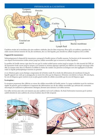 PHYSIOLOGIE de L’AUDITION
L’audition résulte de la stimulation des aires auditives cérébrales, dans les lobes temporaux. Pour qu’il y ait audition, cependant, les
ondes sonores doivent traverser de l’air, des membranes, des os et des liquides, puis stimuler les cellules réceptrices de la cochlée.
L’appareil de transmission :
Schématiquement, le dispositif de transmission correspond à l’oreille externe et l’oreille moyenne. Sa fonction est de transmettre les
sons depuis l’environnement (milieu aérien) jusqu’aux cellules sensorielles (qui se trouvent en milieu liquidien).
Le pavillon de l’oreille externe capte donc les sons que le conduit auditif externe amène jusqu’au tympan. Le rôle essentiel du CAE est
de transmettre l’onde sonore jusqu’au tympan, en le mettant en situation physique optimale pour délivrer une énergie mécanique utilis-
able. Le tympan entre alors en vibration et mobilise la chaîne des osselets. Les pressions acoustiques sont ainsi appliquées à la fenêtre
ovale. Le liquide périlymphatique transmet ces pressions
et ces vibrations grâce au jeu élastique compensateur de la fenêtre ronde. Il en résulte des déformations de membranes le long de
laquelle apparaît une onde qui se propage plus ou moins loin selon que les fréquences vibratoires sont élevées ou basses. De cette façon,
les sons de fréquence grave mettent en jeu un plus grand nombre de cellules sensorielles que les sons de fréquence aiguë.
La réception :
La réception proprement dite s’effectue au niveau des cellules sensorielles de l’oreille interne. La rampe vestibulaire reçoit les variations
rapides de pression, qui la mobilisent et impriment des déformations aux cils des cellules sensorielles qui, subissant des contraintes
mécaniques, les traduisent en phénomènes chimiques, donnant ainsi naissance à un influx nerveux.
Les influx nerveux ainsi crées sont transmis aux aires auditives via le nerf cochléaire. Au final, l’information transmise par le système
auditif atteindra les aires auditives du cerveau localisées dans le lobe temporal.
 