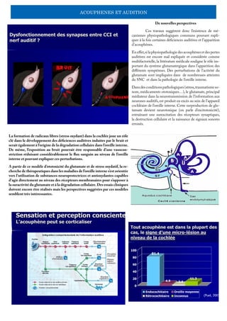 ACOUPHENES ET AUDITION
De nouvelles perspectives
	 Ces travaux suggèrent donc l’existence de mé-
canismes physiopathologiques communs pouvant expli-
quer à la fois certaines déficiences auditives et l’apparition
d’acouphènes.
En effet,si la physiopathologiedes acouphènes et des pertes
auditives est encore mal expliquée et considérée comme
multifactorielle, la littérature médicale souligne le rôle im-
portant du système glutamatergique dans l’apparition des
différents symptômes. Des perturbations de l’activité du
glutamate sont impliquées dans de nombreuses atteintes
du SNC et dans la pathologie de l’oreille interne.
Dansdesconditionspathologiques(stress,traumatismeso-
nore, médicaments ototoxiques…), le glutamate, principal
médiateur dans la neurotransmission de l’information aux
neurones auditifs, est produit en excès au sein de l’appareil
cochléaire de l’oreille interne. Cette surproduction de glu-
tamate devient neurotoxique (on parle d’excitotoxicité),
entraînant une surexcitation des récepteurs synaptiques,
la destruction cellulaire et la naissance de signaux sonores
erronés.
La formation de radicaux libres (stress oxydant) dans la cochlée joue un rôle
clé dans le développement des déficiences auditives induites par le bruit et
serait également à l’origine de la dégradation cellulaire dans l’oreille interne.
De même, l’exposition au bruit pourrait être responsable d’une vasocon-
striction réduisant considérablement le flux sanguin au niveau de l’oreille
interne et pouvant expliquer ces perturbations.
A partir de ce modèle d’ototoxicité du glutamate et de stress oxydatif, la re-
cherche de thérapeutiques dans les maladies de l’oreille interne s’est orientée
vers l’utilisation de substances neuroprotectrices et antioxydantes capables
d’agir directement au niveau des récepteurs membranaires pour s’opposer à
la suractivité du glutamate et à la dégradation cellulaire.Des essais cliniques
doivent encore être réalisés mais les perspectives suggérées par ces modèles
semblent très intéressantes.
 