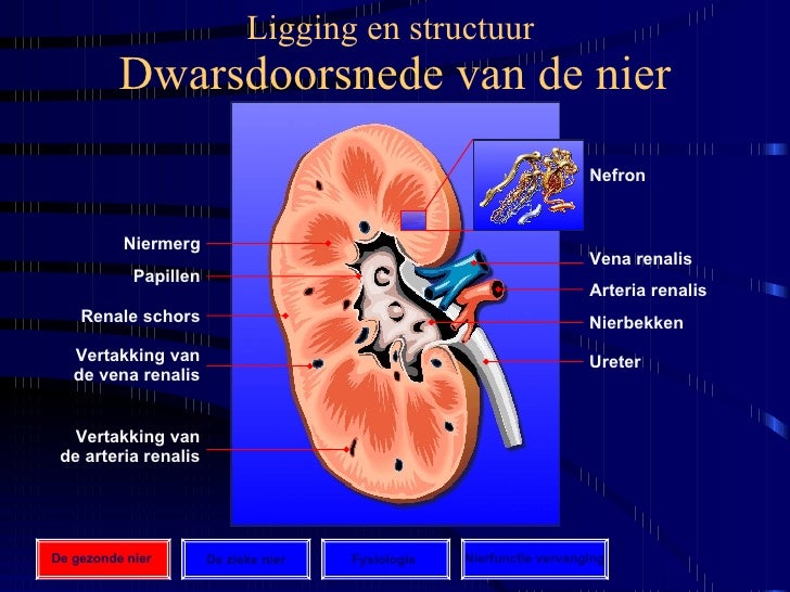 Chronische Nierinsufficiëntie