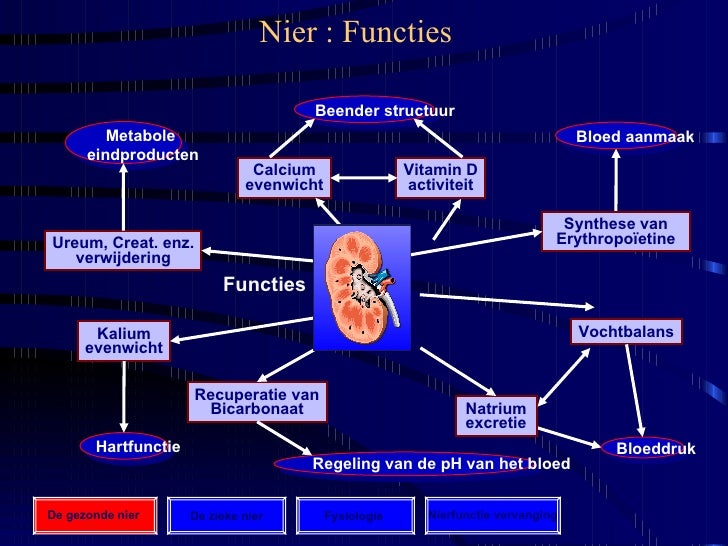 Chronische Nierinsufficiëntie