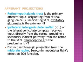  Retinohypothalamic tract is the primary
afferent input originating from retinal
ganglion cells innervating SCN, excitatory
glutamate is the primary NT
 Ipsilateral intergeniculate leaflet (IGL) of
the lateral geniculate complex receives
input directly from the retina, providing a
secondary indirect pathway from the retina
to the SCN. Neuropeptide Y is the
predominant NT
 Distinct serotonergic projection from the
midbrain raphe. Serotonin modulates light's
effect on SCN function.
 