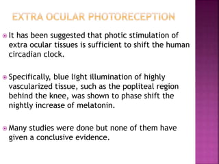  It has been suggested that photic stimulation of
extra ocular tissues is sufficient to shift the human
circadian clock.
 Specifically, blue light illumination of highly
vascularized tissue, such as the popliteal region
behind the knee, was shown to phase shift the
nightly increase of melatonin.
 Many studies were done but none of them have
given a conclusive evidence.
 