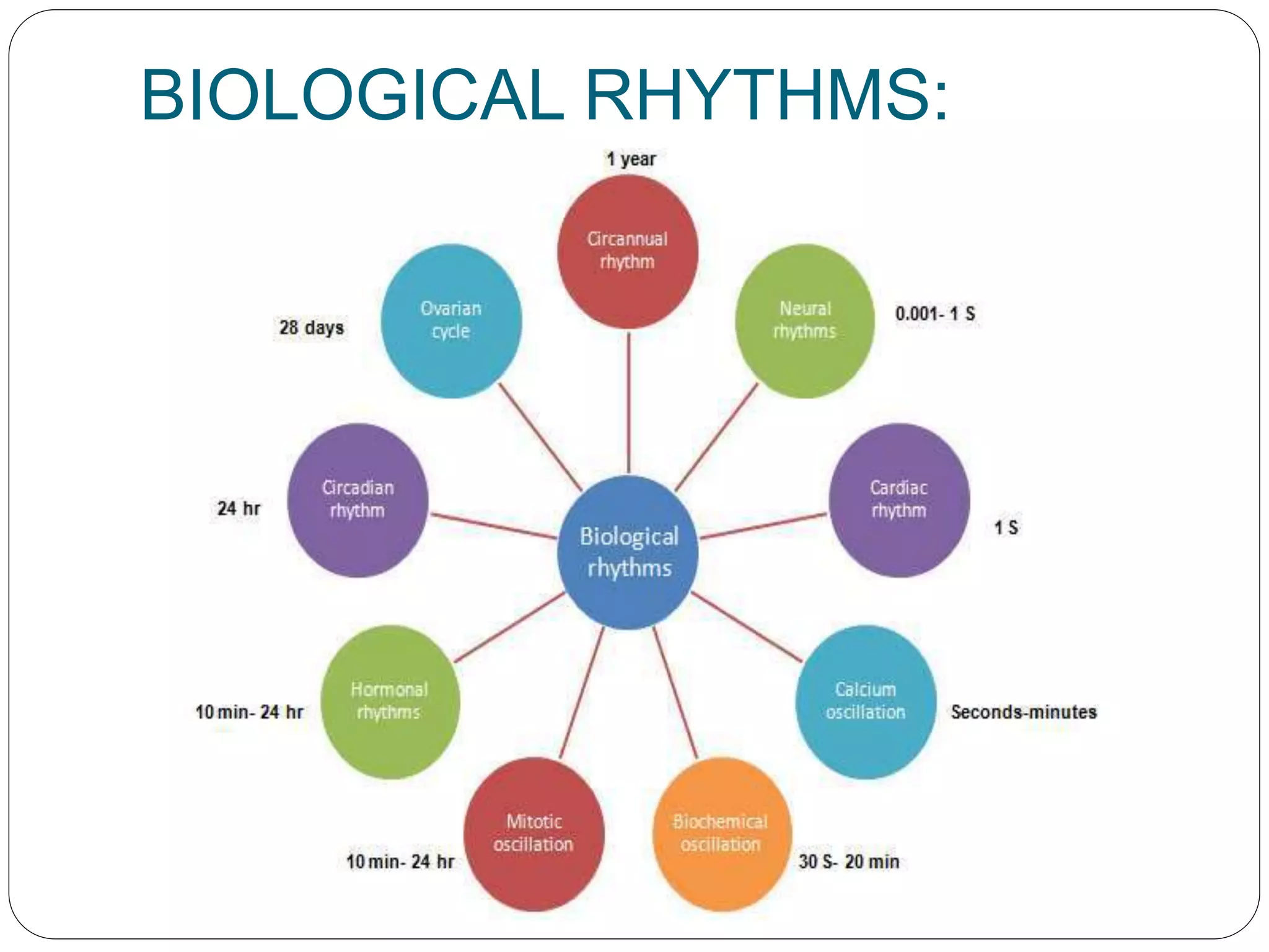 Chronobiology | PPTX