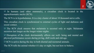 8
 In humans (and other mammals), a circadian clock is located in the
suprachiasmatic nuclei (SCN).
The SCN is in hypothalamus. It is a tiny cluster of about 10 thousand nerve cells.
This circadian clock is synchronized to external cycles of light and darkness and
social contact.
 The SCN clock ensures that melatonin is secreted only at night. Melatonin
secretion last longer on the longer winter nights.
 Disruption of the clock detrimentally affects our well- being and mental and
physical performance occurs during jet-lag, shift work and old-age.
 SCN is active during the day in both diurnal and nocturnal animals.
The SCN tells the animal whether it’s day or night, but not how to behave.
 