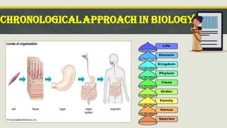 CHRONOLOGICALAPPROACH IN BIOLOGY
 