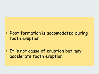 • Root formation is accomodated during
tooth eruption
• It is not cause of eruption but may
accelerate tooth eruption
 