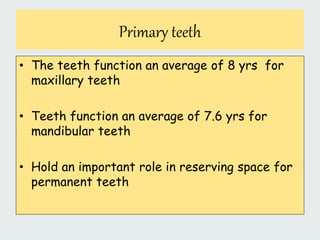 Primary teeth
• The teeth function an average of 8 yrs for
maxillary teeth
• Teeth function an average of 7.6 yrs for
mandibular teeth
• Hold an important role in reserving space for
permanent teeth
 