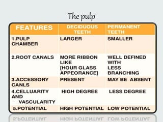The pulp
 