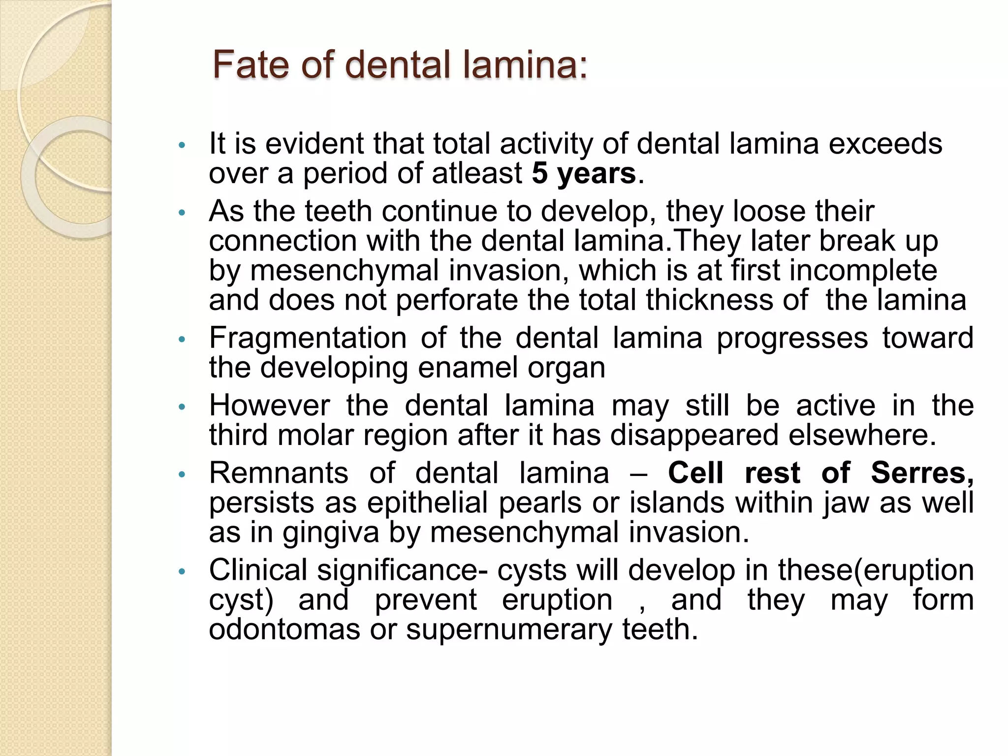 Chronology of dental development and development of occlusion | PPTX