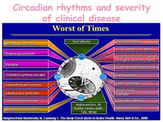 Circadian rhythms and severity
of clinical disease
 