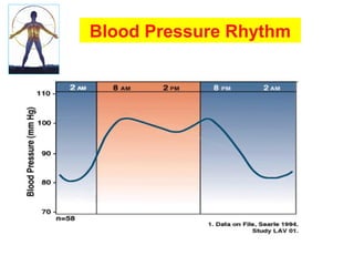 Blood Pressure Rhythm
 