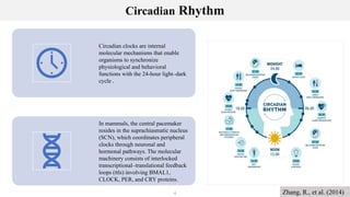 Chronopharmacology and circadian rhythm. | PPTX