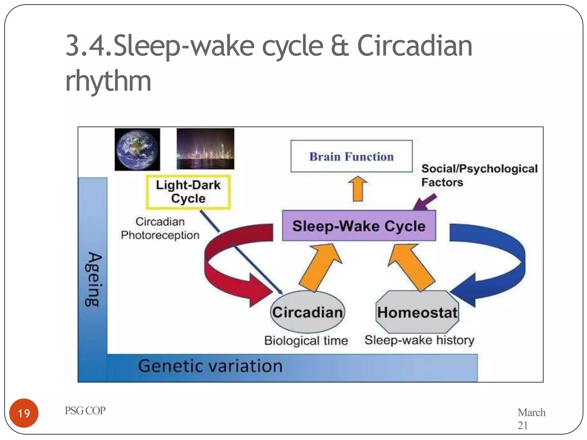 Chronopharmacology- Biological and Circadian rhythms.pptx