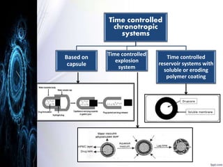 Time controlled 
chronotropic 
systems 
Based on 
capsule 
Time controlled 
explosion 
system 
Time controlled 
reservoir systems with 
soluble or eroding 
polymer coating 
 