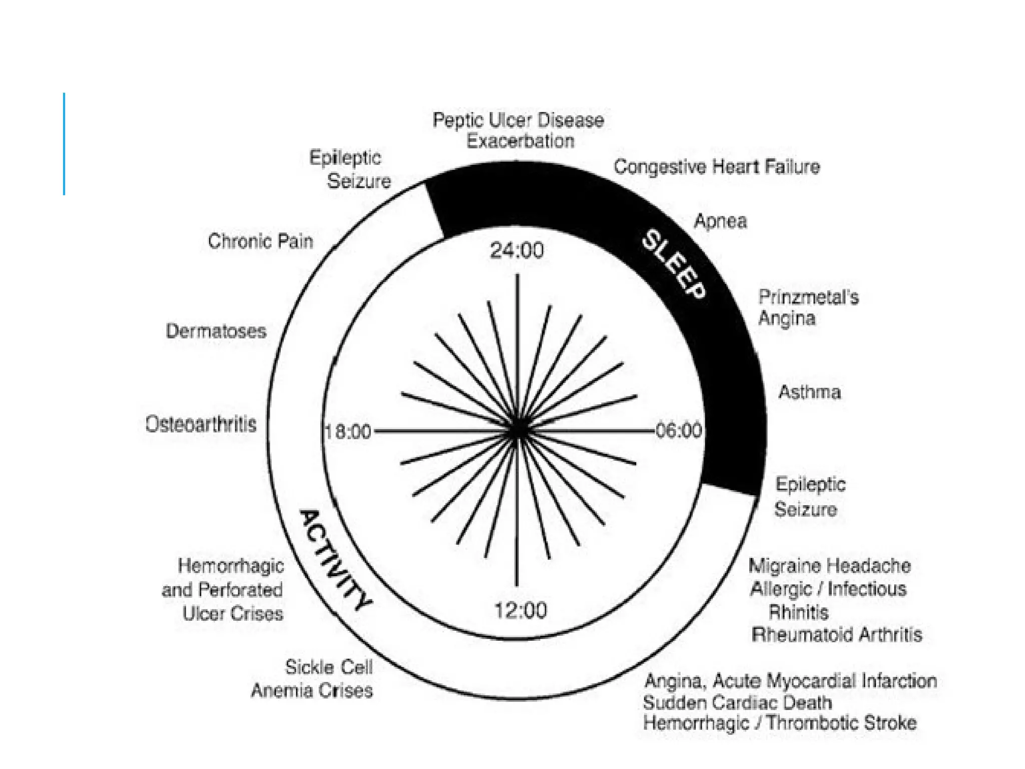 Chronotherapy | PPT