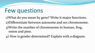 Few questions
1)What do you mean by gene? Write it major functions.
2)Differentiate between autosome and sex chromosome.
3)Write the number of chromosome in human, frog,
onion and pine.
4) How is gender determined? Explain with a diagram.
 