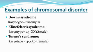 Examples of chromosomal disorder
 Down’s syndrome:
Karyotype= trisomy 21
 Klinefelter’s syndrome:
karyotype= 45+XXY.(male)
 Turner’s syndrome:
karyotrpe = 45+X0.(female)
 
