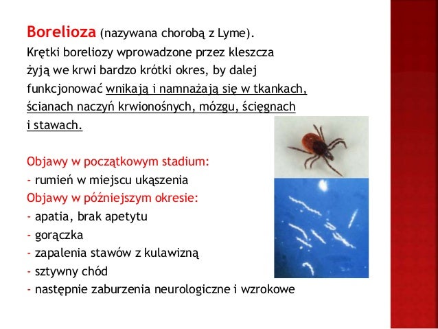Chroń swojego przyjaciela kleszcze