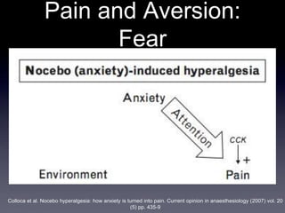 Chronic Pain and Psychoapathology | PPT